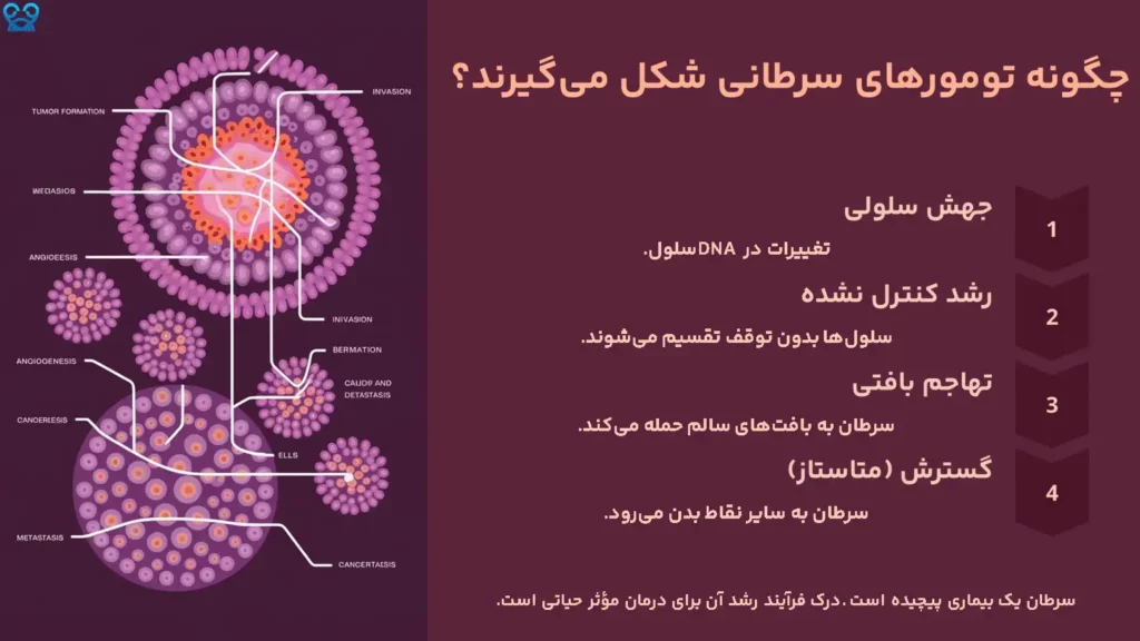 چگونه تومورهای سرطانی شکل میگیرند؟