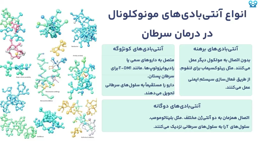 انواع آنتیبادیهای مونوکلونال در درمان سرطان